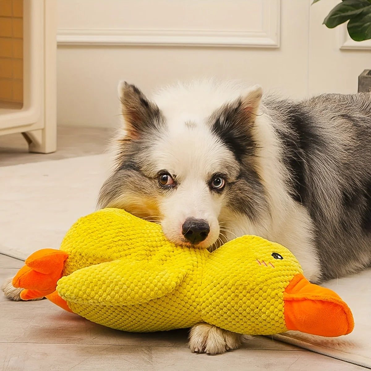 Peluche de Soutien Émotionnel pour votre chien